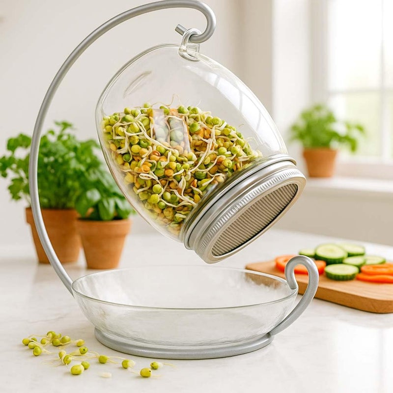 ALCEDIA Premium Sprouting Jar Kit - Unique 30 oz Wide Mouth Sprouting Jar, Stand, Tray and 316 Stainless Screen Lid | Decorative Indoor Seed Sprouter and Germinator (1 Kit) - Image 1
